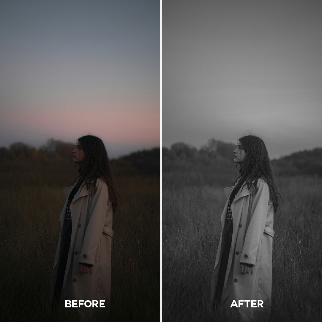 Black & White V2 Lightroom Presets