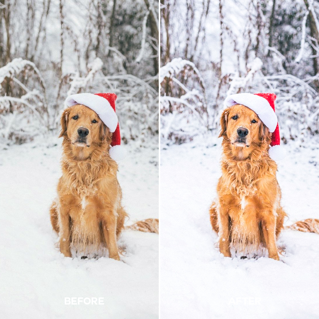 Bright Christmas Lightroom Presets