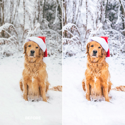 Bright Christmas Lightroom Presets