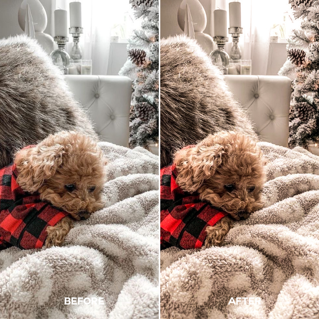 Cozy Holiday Lightroom Presets