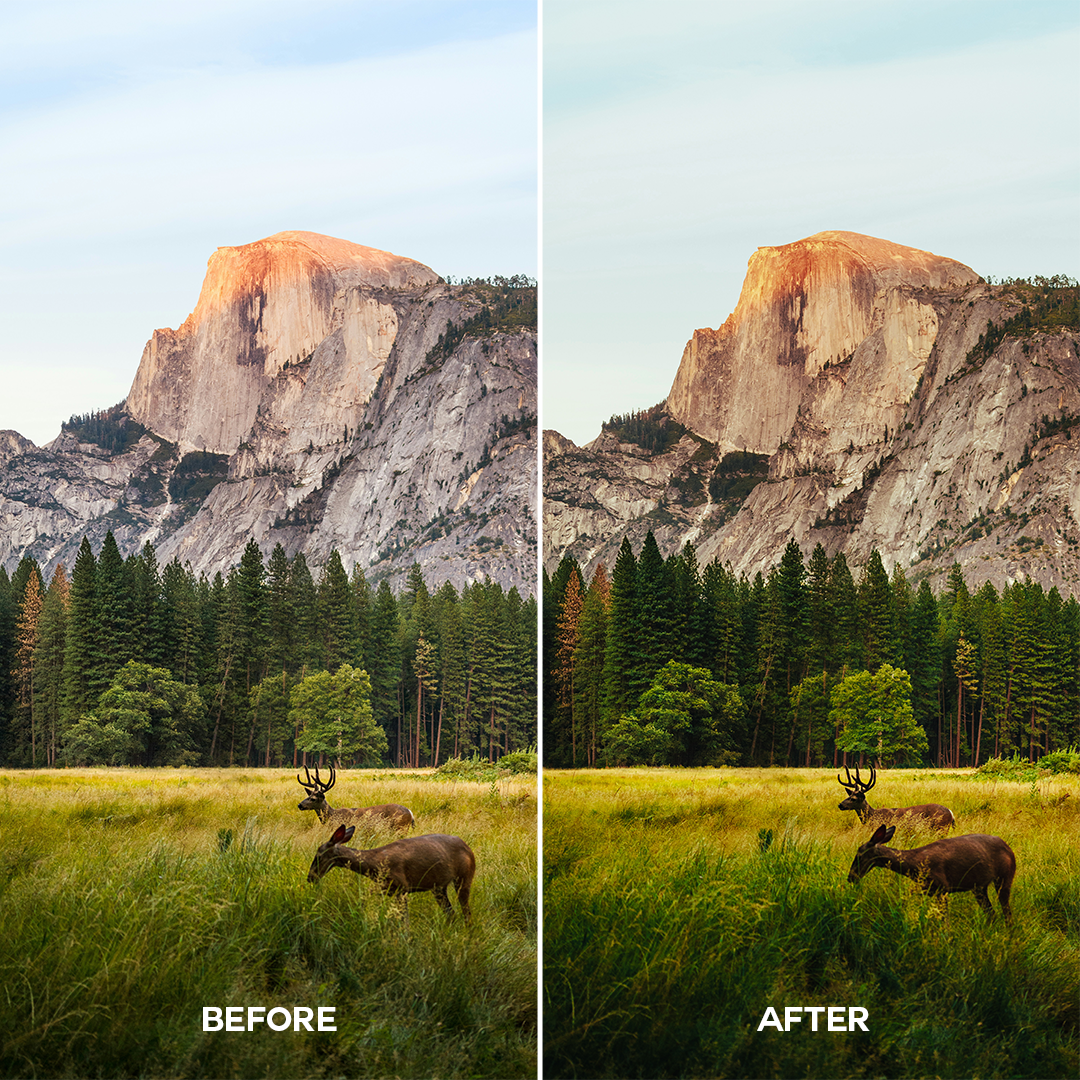 Earthy Lightroom Presets