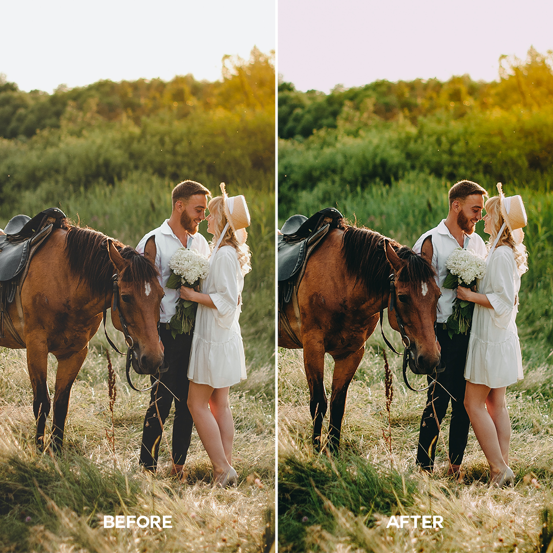 Earthy Lightroom Presets