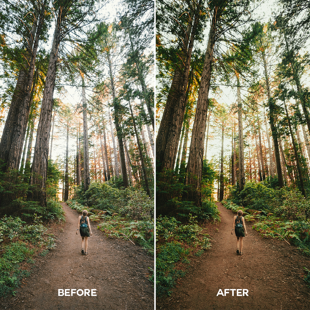 Earthy Lightroom Presets