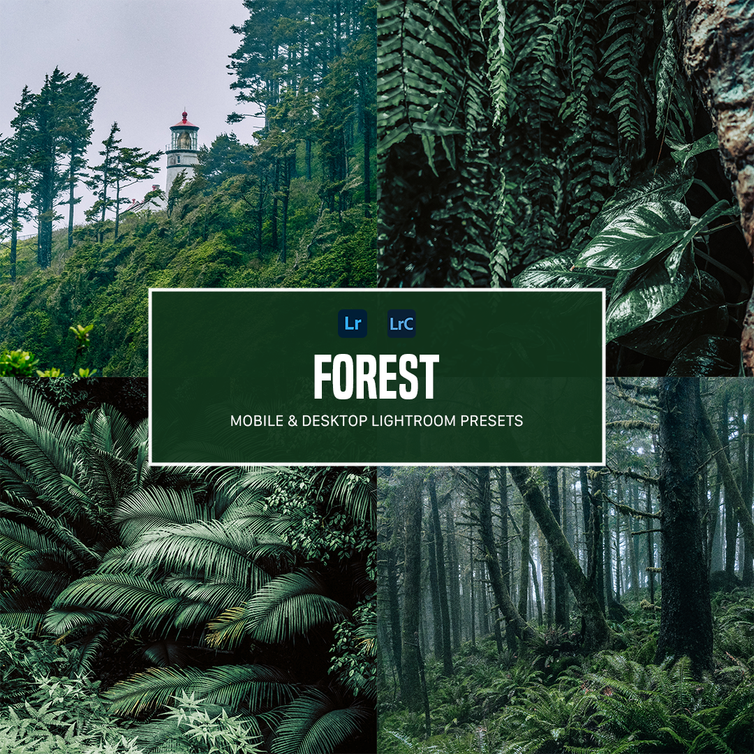 Forest Lightroom Presets