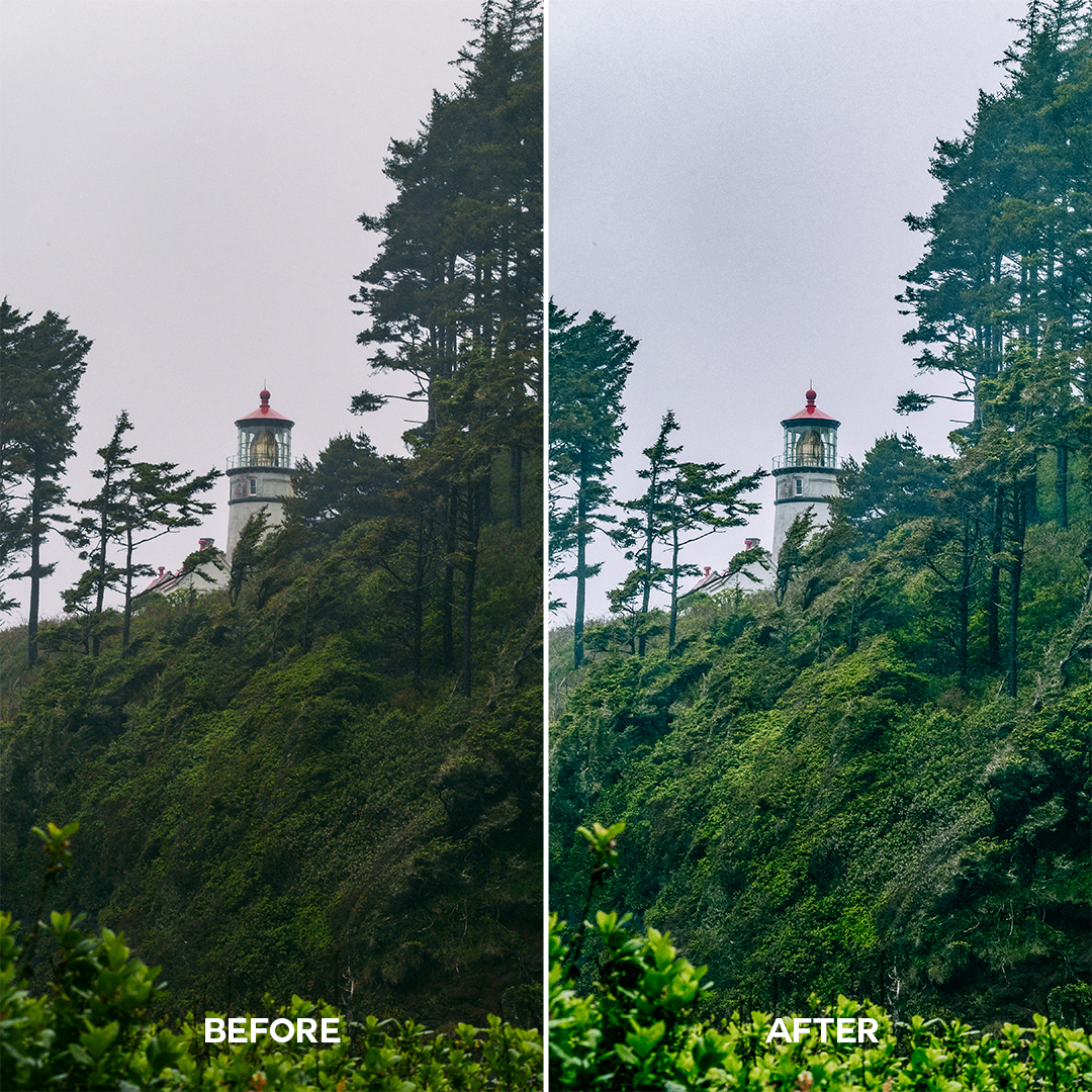 Forest Lightroom Presets