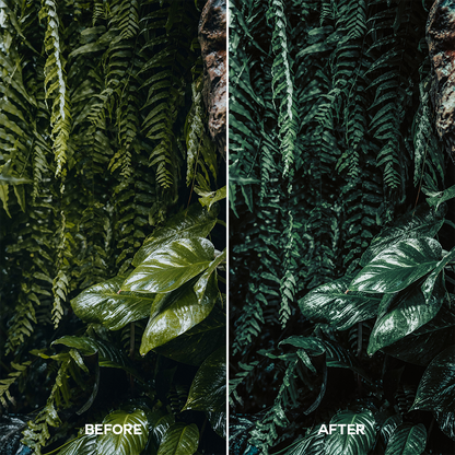 Forest Lightroom Presets