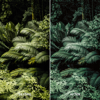 Forest Lightroom Presets