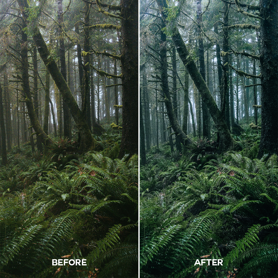 Forest Lightroom Presets