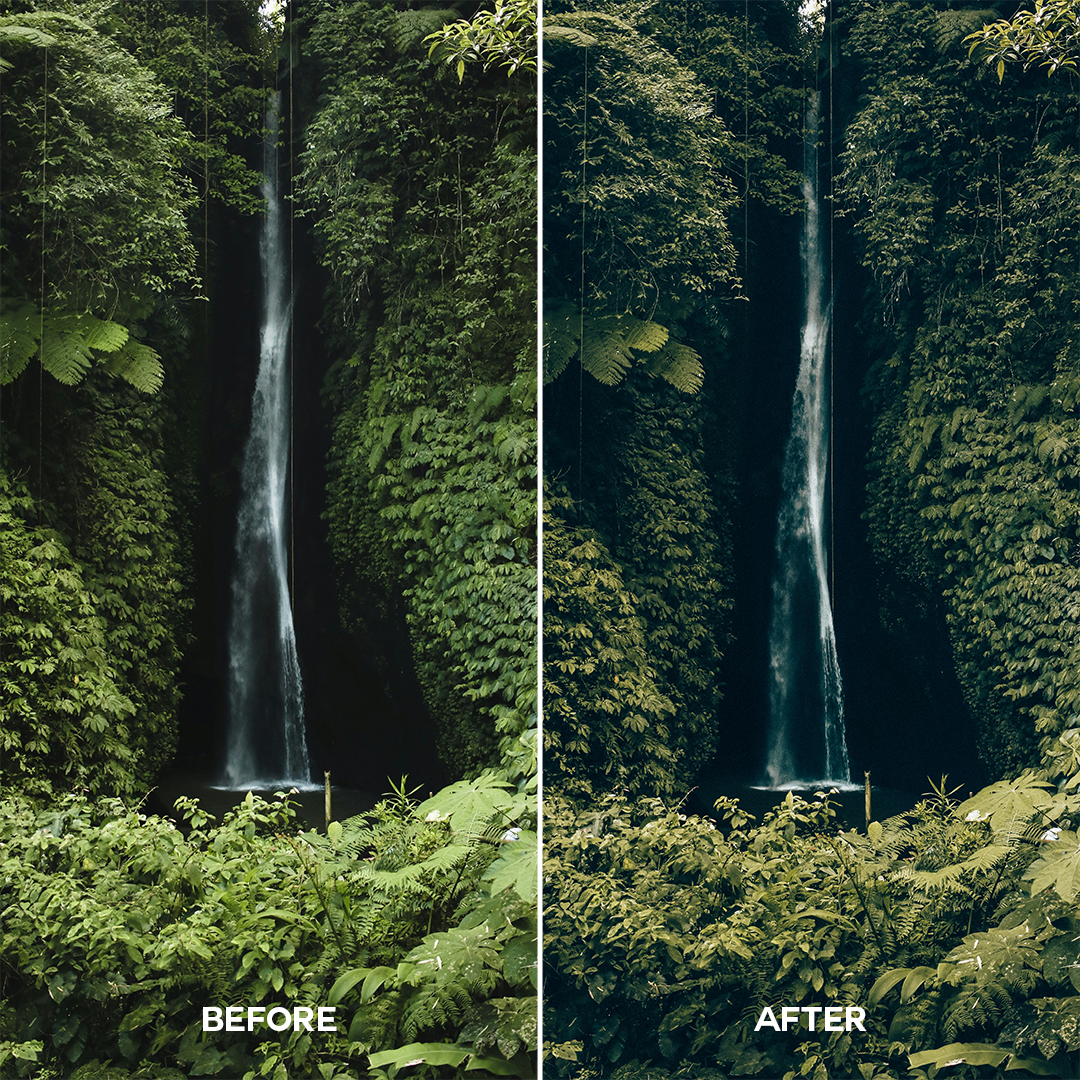 Jungle Green Lightroom Presets