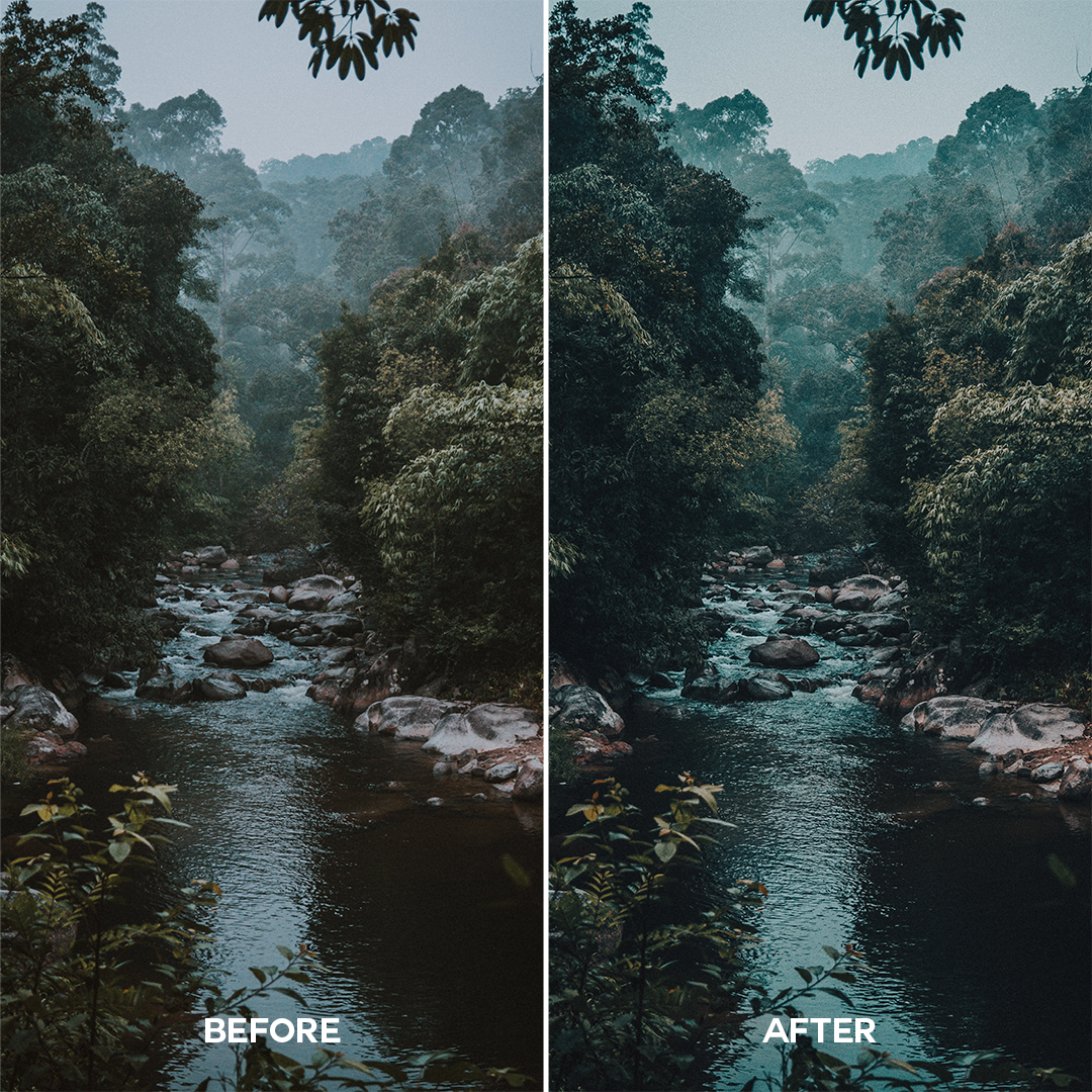 Jungle Green Lightroom Presets