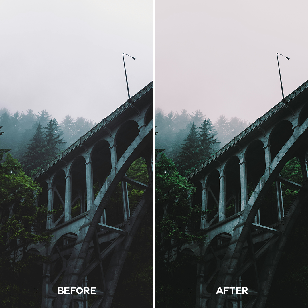 Moody Woods Lightroom Presets