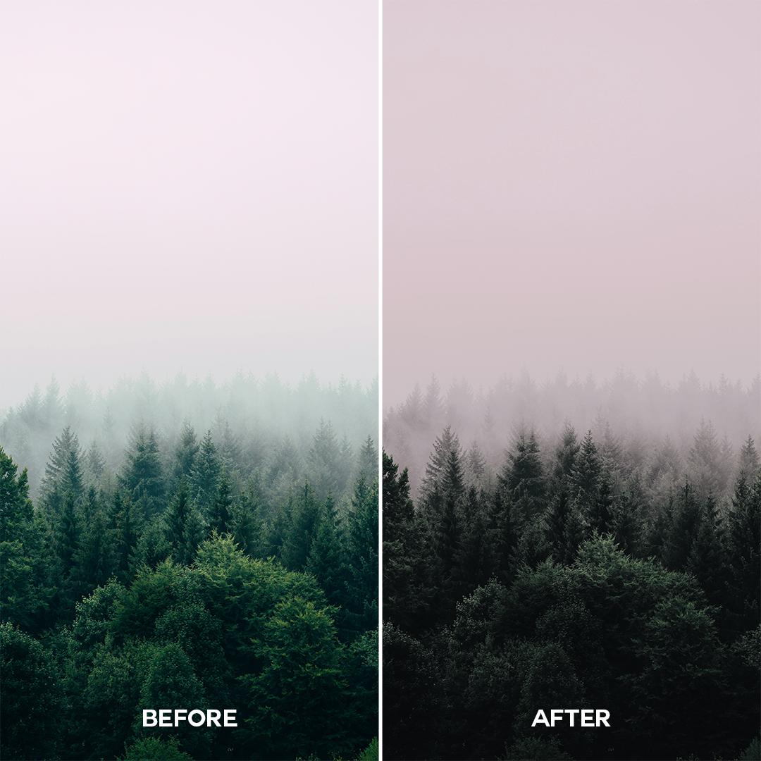 Moody Woods Lightroom Presets