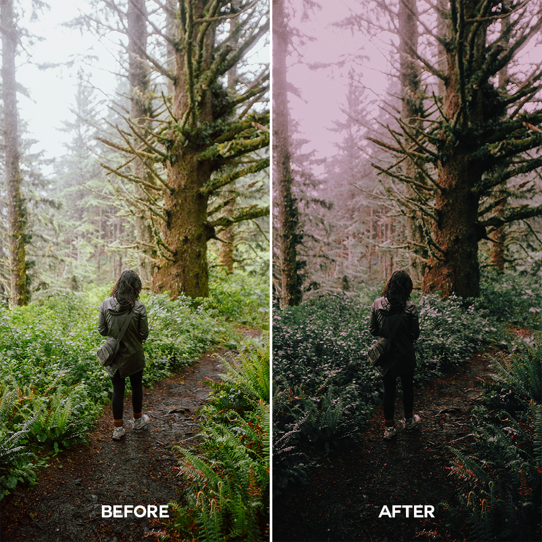 Moody Woods Lightroom Presets