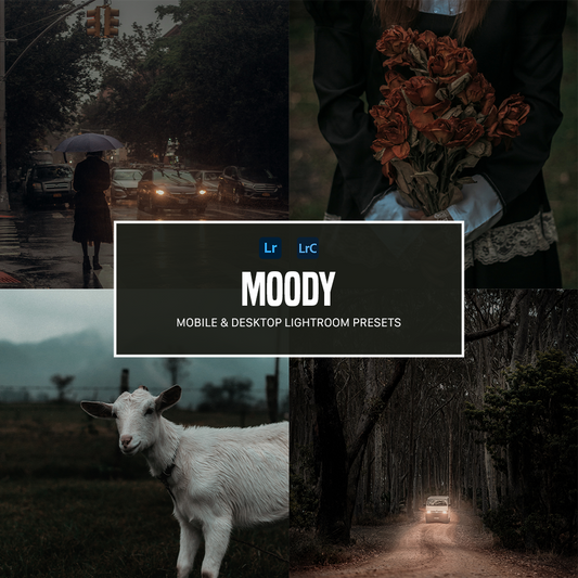 Moody Lightroom Presets